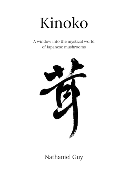 » Blog Archive » GYÛNIKU TO KINOKO NO CURRY